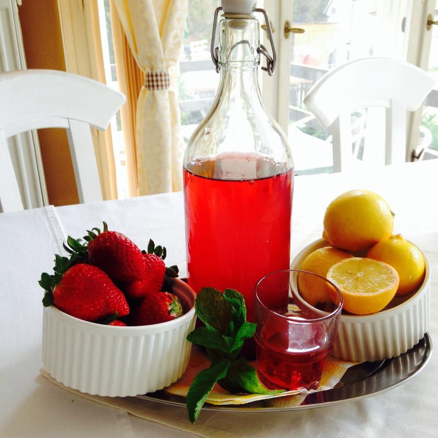 Svatý Jan pod Skalou Hotel Obecna Skola מראה חיצוני תמונה